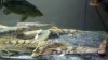 2012-04-19_19-17-04_648.jpg