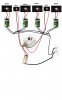 ImageUploadedByMonsterAquariaNetwork1335292818.323314.jpg