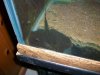 2012-04-24 amys cam 035.JPG