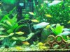 100_1115.JPG