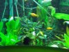 100_1117.JPG