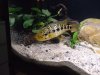 DSC03034.JPG