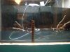 100_5789.JPG