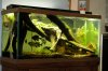 DSCN4765.JPG