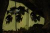 DSCN4768.JPG