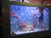 inside tank.JPG