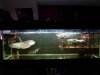 DSC01163.JPG