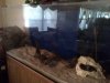 IMG-20120505-00003.jpg