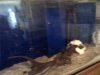 IMG-20120505-00004.jpg