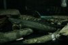 uploadfromtaptalk1336271776897.jpg uploadfromtaptalk1336271776897.jpg