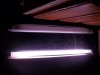 017.JPG