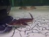 IMG-20120506-01920.jpg