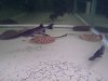 IMG-20120506-01935.jpg