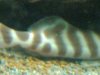 IMG_20120507_205207.jpg