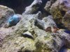 100_2431.JPG