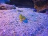 100_2433.JPG