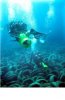 tire reef.jpg tire reef.jpg