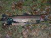 steelhead 05' 011 paint.JPG