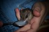 100_0056.jpg