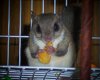 100_0352.jpg
