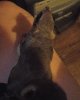 100_1796.jpg