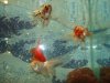 DSC01288.JPG
