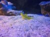 100_2435.JPG