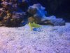 100_2436.JPG