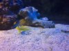 100_2437.JPG
