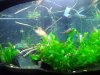 IMG_20120509_212233.jpg
