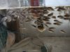 DSC05653.JPG
