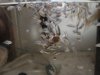 DSC05654.JPG