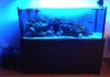 Marine Aquarium Tank(1).jpg