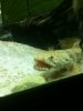 5-15-12 010.JPG