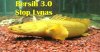 ImageUploadedByMonsterAquariaNetwork1337063282.981710.jpg