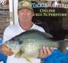 redear_havasu_5_55lbs_robert_lawler.jpg