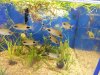 20120518_135808.jpg