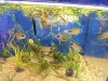 20120518_135811.jpg
