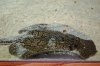 DSC_0177-for-web.jpg