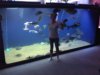 WP_000408.jpg