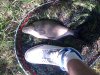 Foto0381.jpg
