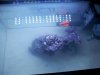 uploadfromtaptalk1337911442396.jpg
