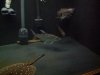IMG_20120507_235926.jpg IMG_20120507_235926.jpg