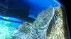 2012-05-26_10-05-47_0.jpg 2012-05-26_10-05-47_0.jpg