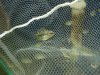 DSC05691.JPG