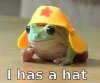 ImageUploadedByMonsterAquariaNetwork1338193908.216819.jpg