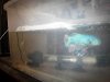 IMG_20120530_150317.jpg