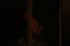IMG_1078-low.jpg
