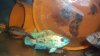 DSC01379.JPG