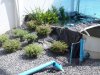 P6020370.jpg